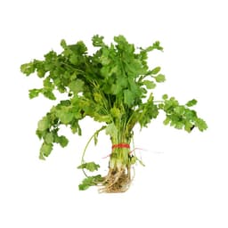 CILANTRO 1KG foto